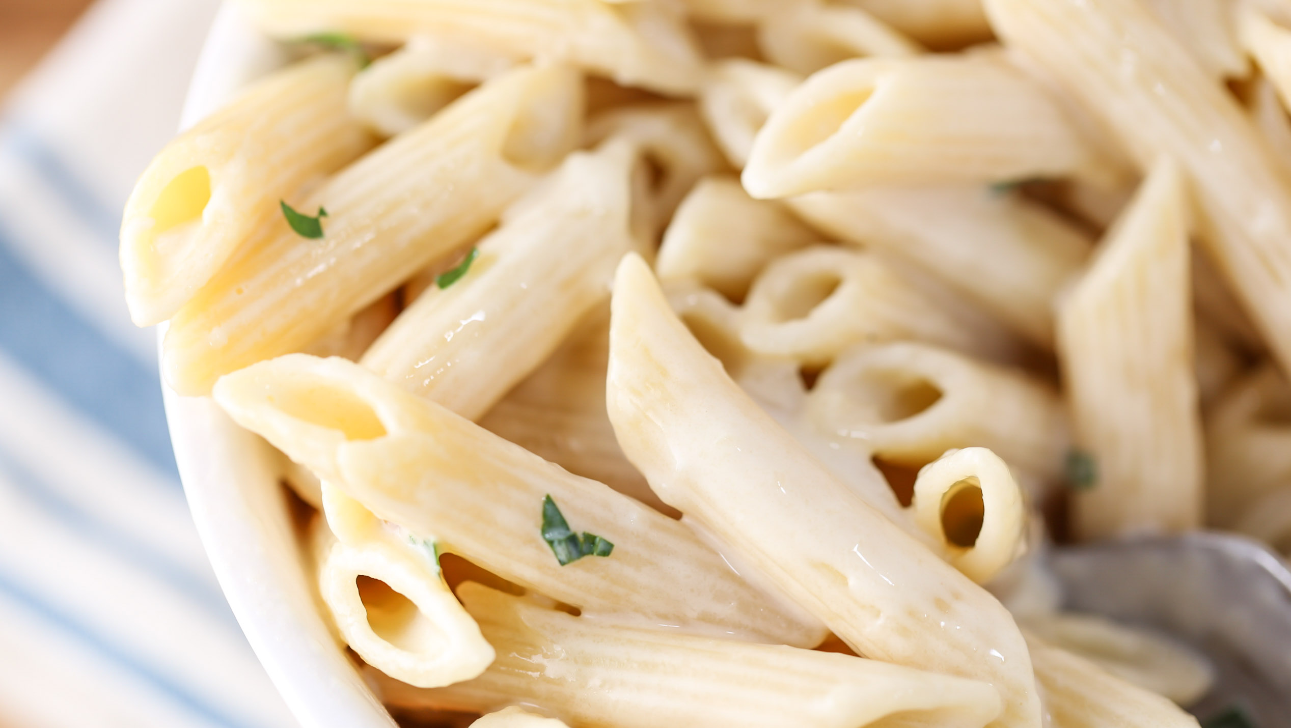 One Pot Creamy Garlic Pasta