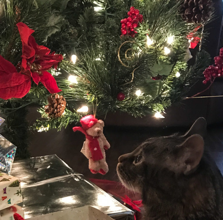Cooper & the Christmas Bear