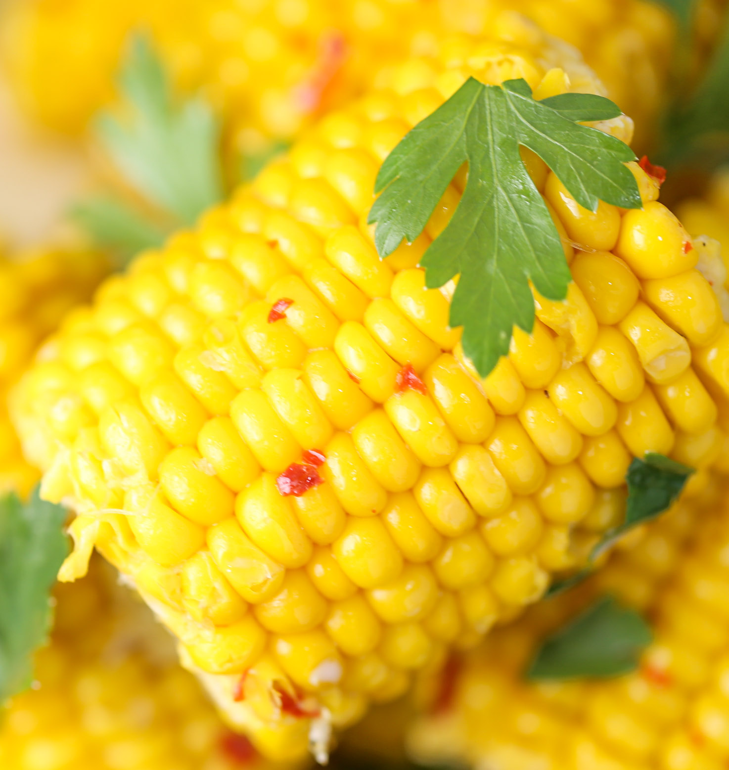 Slow Cooker Corn on the Cob