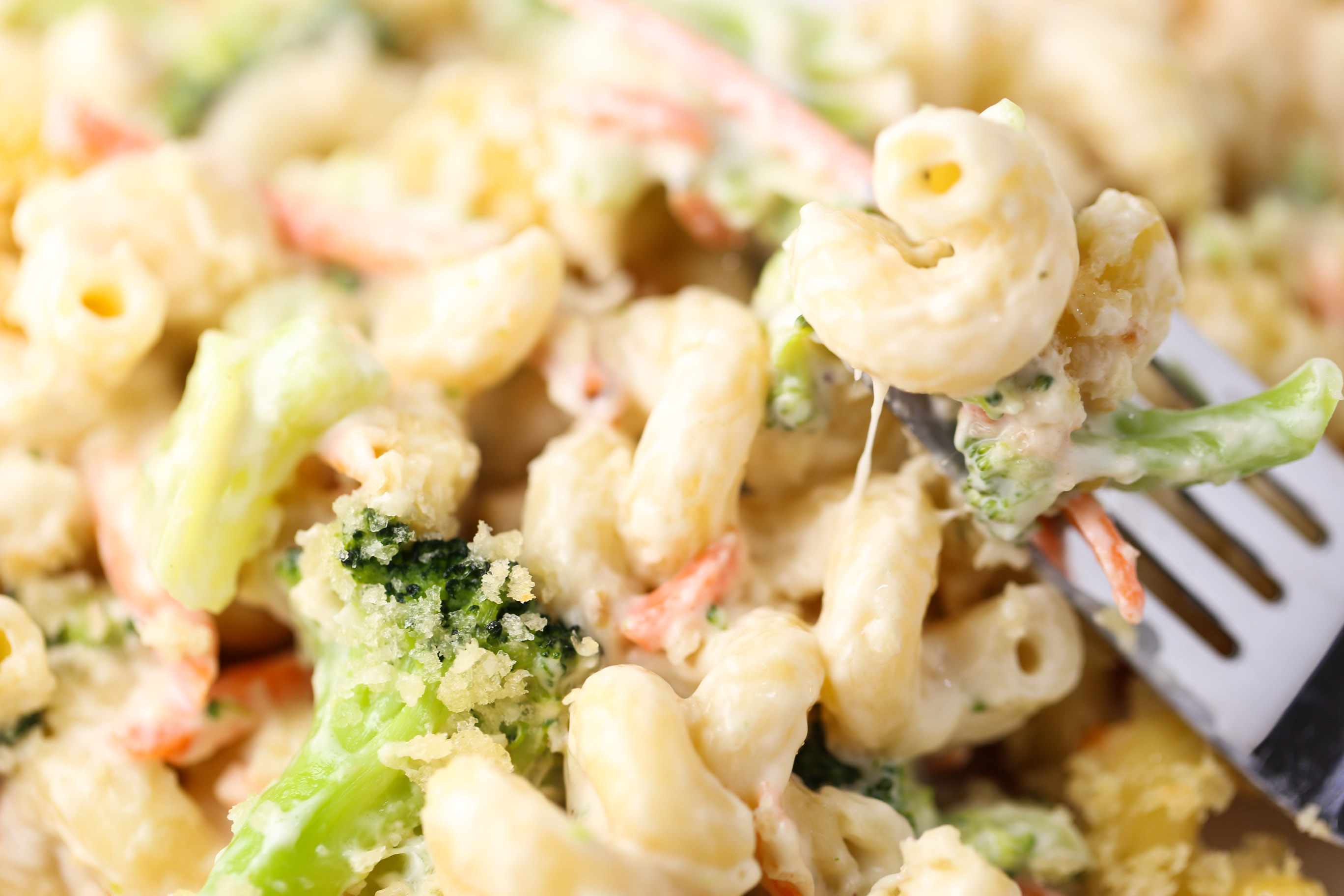 Alfredo Primavera Pasta Bake | Tabs & Tidbits