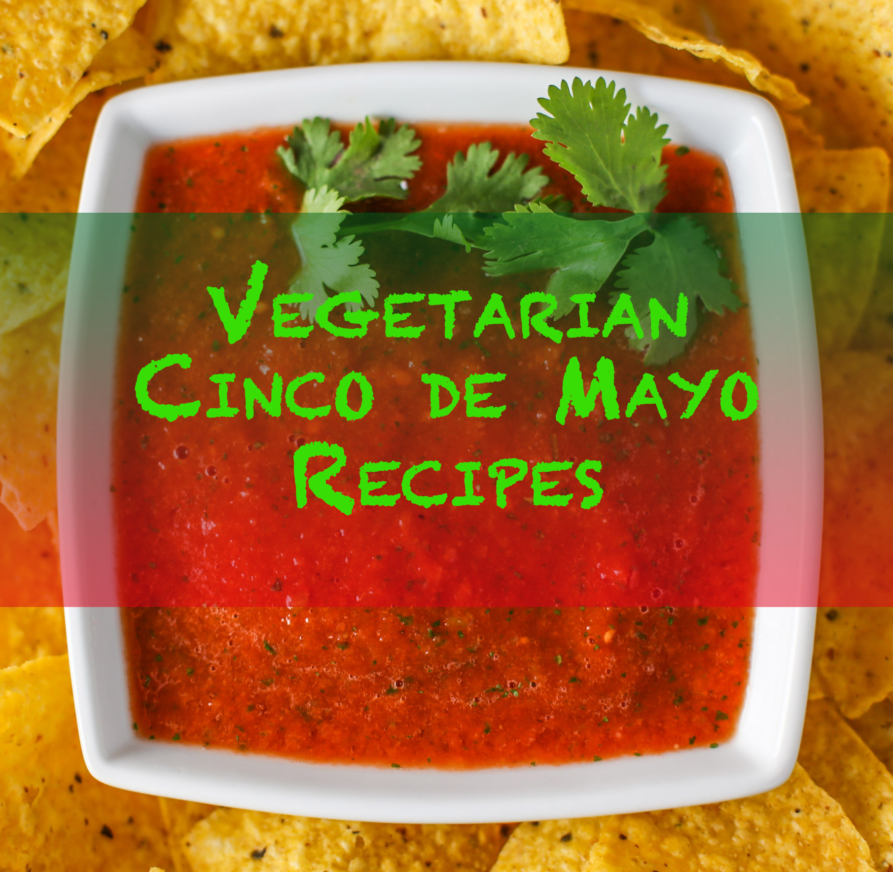 Vegetarian Cindo de Mayo Recipes