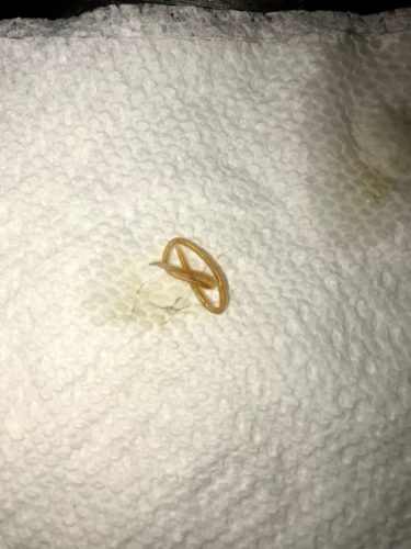 Lungworm