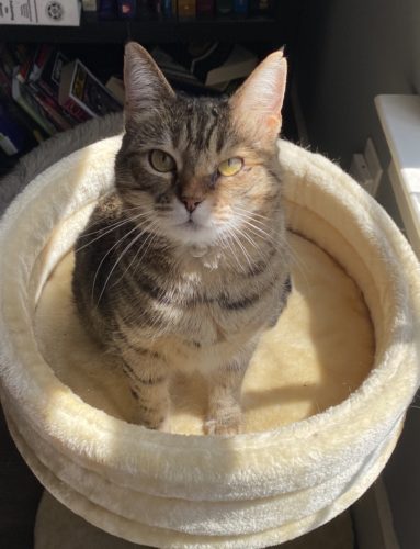 Maggie